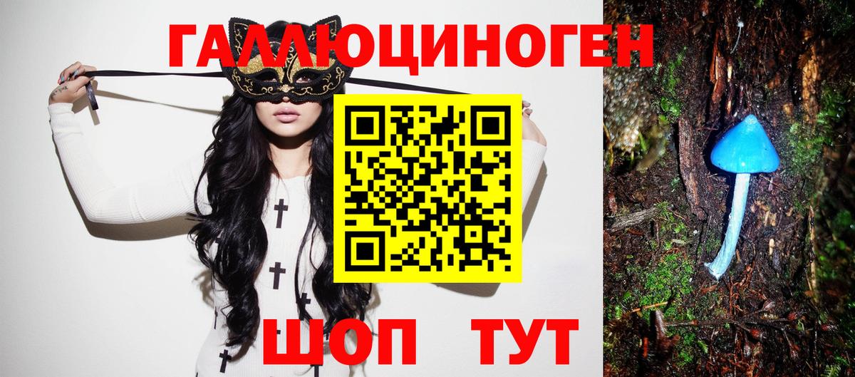 Псилоцибиновые грибы Cubensis Черкесск