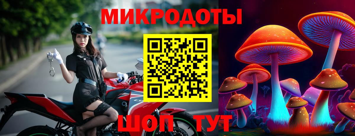 Черкесск  где можно купить   Вход с VPN  Псилоцибиновые грибы Cubensis 